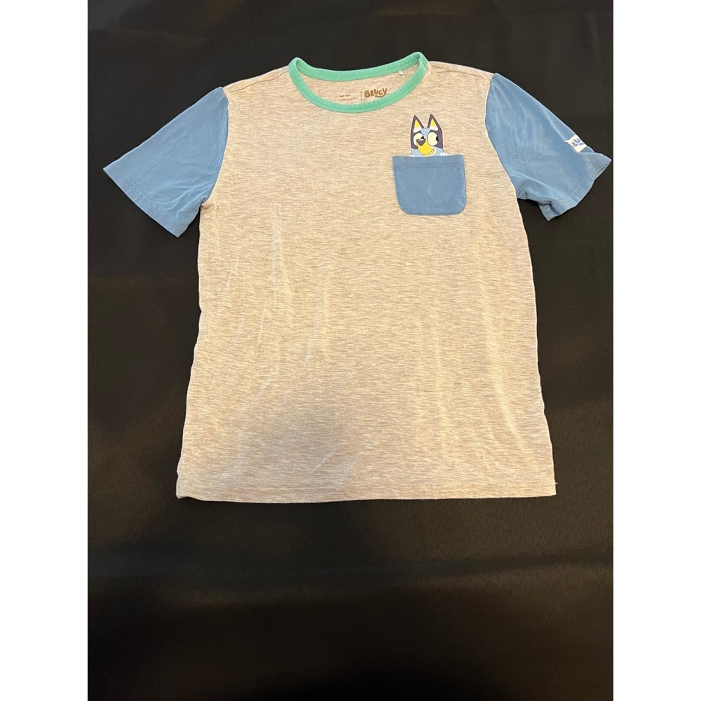 Bluey Boys Pocket T-Shirt Grey Blue Colorblock Short Sleeve Graphic Tee